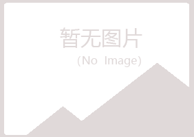 铁岭夏日化学有限公司